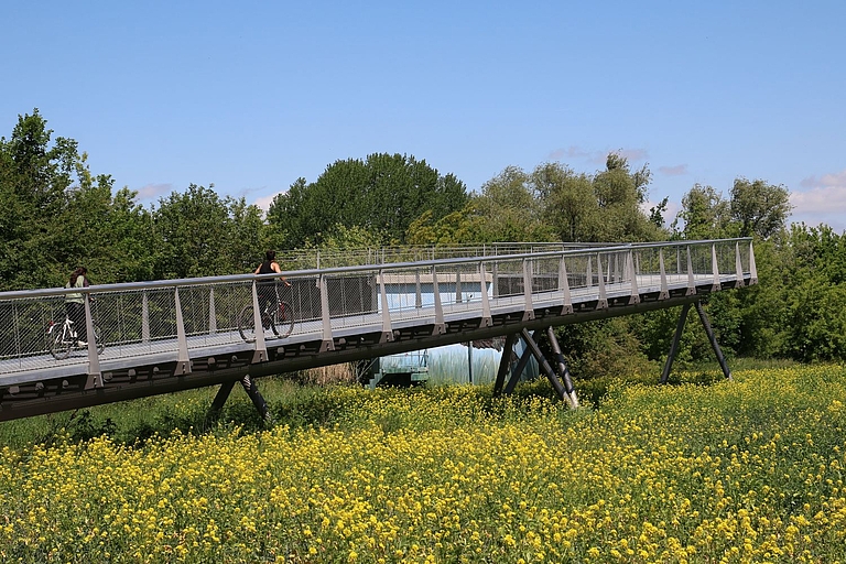 Adler-Bogen